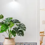 Casa Boma - Typical And Spacious - Lapa Ii