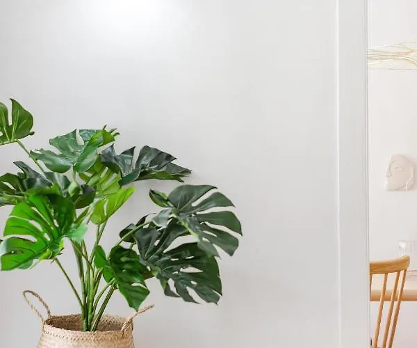 Casa Boma - Typical And Spacious - Lapa Ii